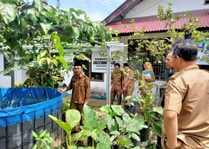 Pemanfaatan Halaman Perkantoran, Rp 100 Juta