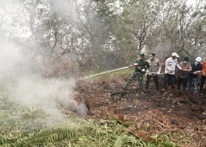 Hotspot di Sumatera Terdeteksi 2.945 Titik, Terbanyak di Provinsi Tetangga
