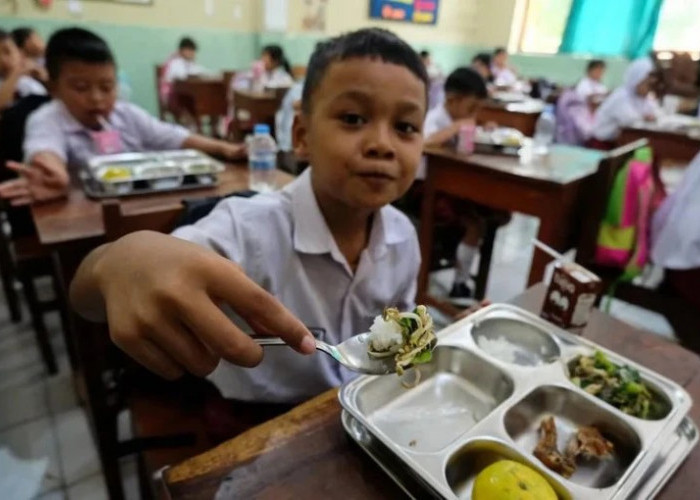 Dana MBG di Provinsi Bengkulu Tersalurkan Rp291,91 Miliar untuk 330.000 siswa