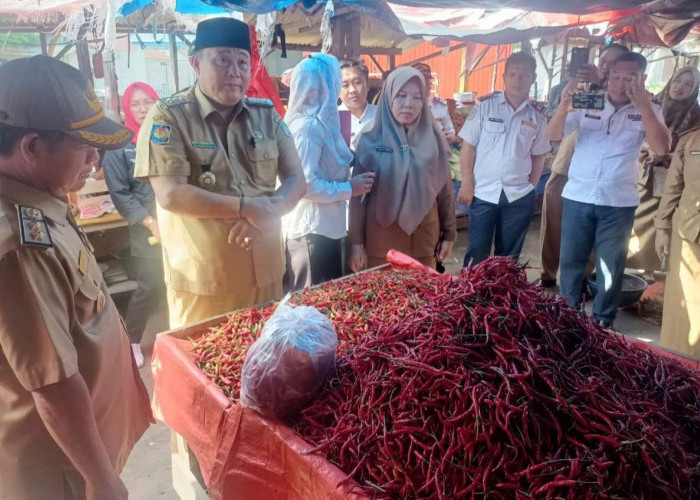 Tim Pengendalian Infasi Daerah Kaur Pantau Harga Pangan di Pasar, Temukan Fakta-Fakta Berikut