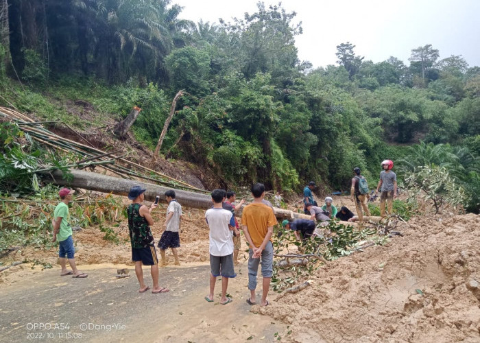 Jalan Provinsi Kembali Longsor, Harap Alat Berat Disiagakan