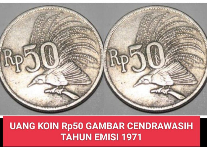 Uang Kuno Rp50 tahun 1971 Gambar Burung Cendrawasih Dicari Para Kolektor di Indonesia