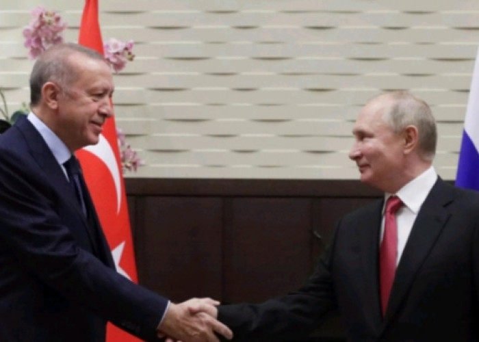 Putin ke Erdogan: Kesepakatan Gandum Tidak Berarti Tanpa Memenuhi Kewajiban ke Rusia