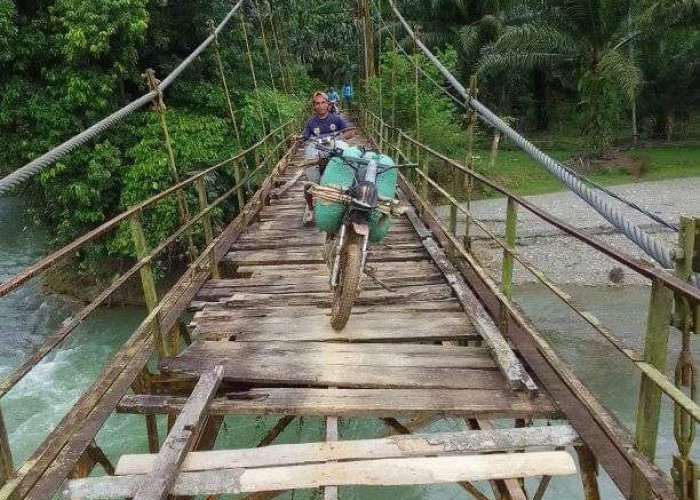 Empat Tahun Petani Bertaruh Nyawa Lewati Jembatan Rusak