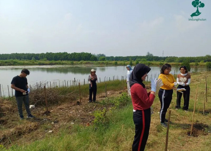 Inisiatif LindungiHutan dalam Program Gabung Aksi Menanam 122 Pohon Ketapang Kencana di Tangerang