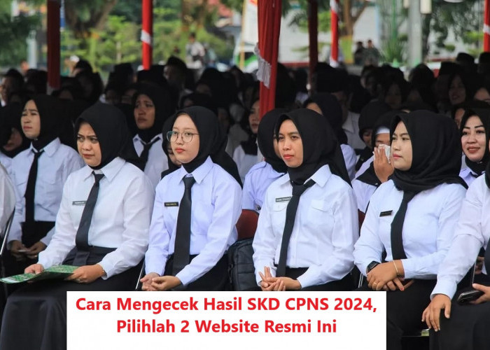 Cara Mengecek Hasil SKD CPNS 2024, Pilihlah 2 Website Resmi Ini