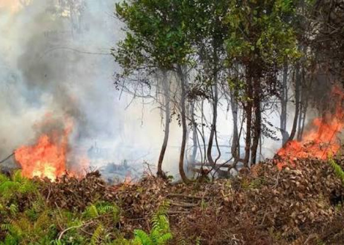 Masyarakat Diimbau Tidak Buang Puntung Rokok dan Bakar Sampah Sembarangan