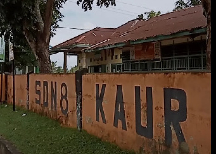 Soroti Banyak Sekolah Rusak, PDIP Sayangkan Dana Pendidikan Rp 223,5 Triliun Justru untuk MBG