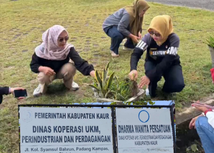 Wujudkan Lingkungan Kerja Sehat, Dinas Koperindag Kaur Gencarkan Aksi Bersih Kantor