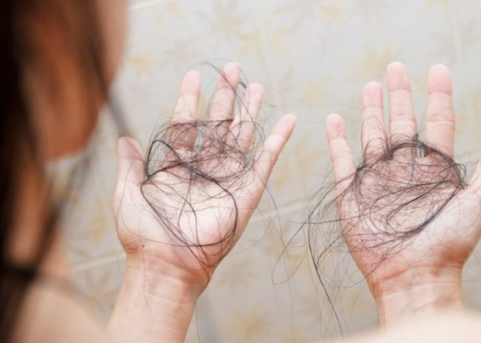 Cara Mencegah Rambut Rontok Saat Haid, Mandi Keramas Pengaruhi Kesehatan Rambut, Mitos atau Fakta? 