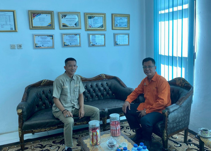 Sensus Ekonomi 2026 bukan Untuk Penagihan Pajak, Ini Kata Kepala BPS Kabupaten Kaur
