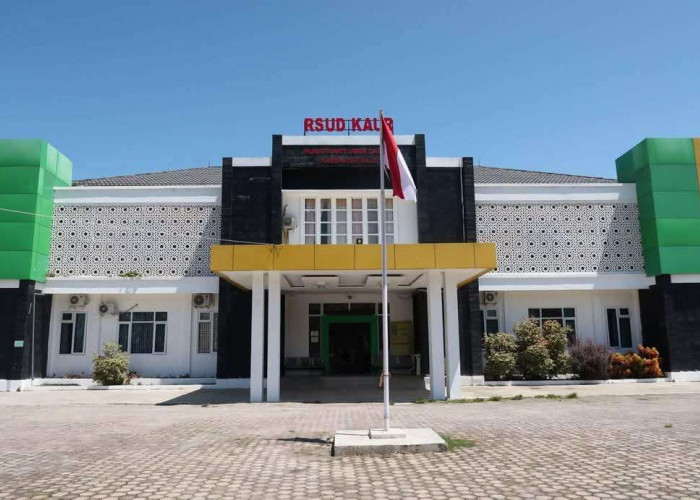 Hasil Pemeriksaan BPK RI, Pengadaan Alkes Senilai Rp502 juta Lebih Tahun 2024 Diduga Fiktif