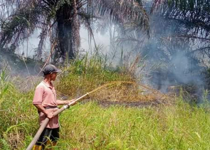 TNI Polri dan Warga di Kaur Berjibaku Padamkan Api yang Membakar Lahan dekat Pemukiman Warga