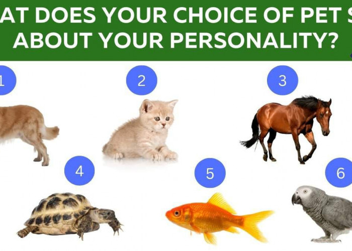 Tes Kepribadian: Hewan Peliharaan Favorit Apa Pilihan Anda, Apa Katanya Tentang Anda?