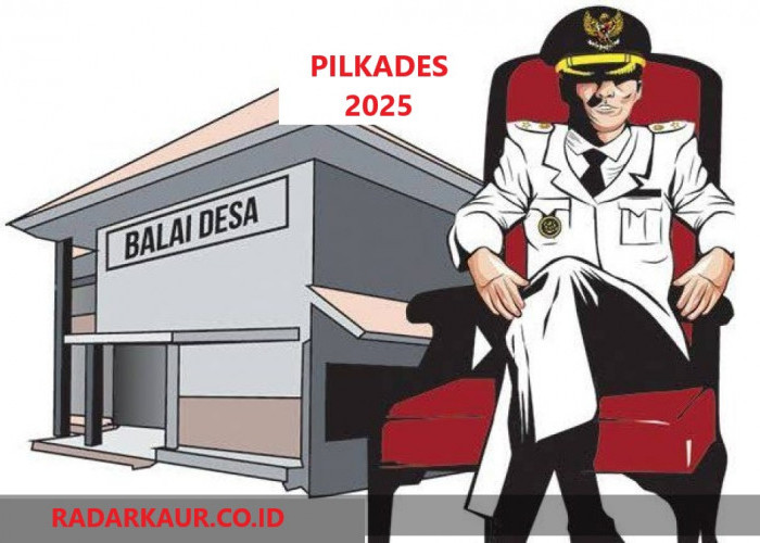 4 Desa di Kaur Tak Punya Kades, Pilkades akan Dilakukan 2025