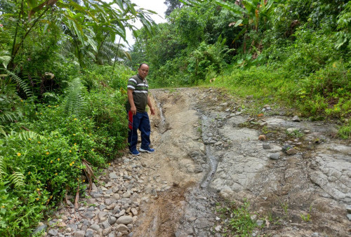 Jalan Penghubung Antar Desa Rusak Parah