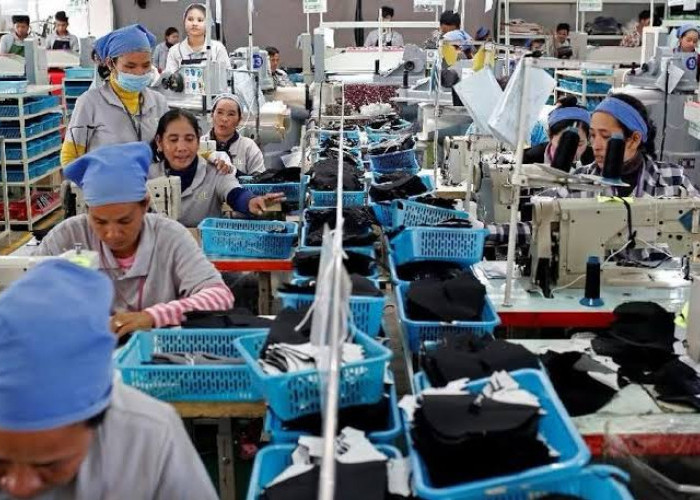 Serapan Tenaga Kerja Naik 522 Ribu, BPS: Tingkat Pengangguran Berkurang