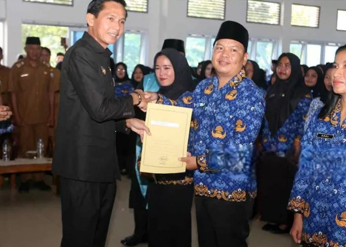 Selain Gaji Pokok, Berikut Ini Rincian Tunjangan bagi PPPK