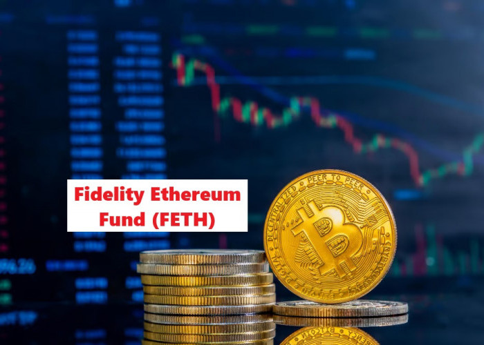 Fidelity Ethereum Fund Mencatat Penarikan Harian Terbesar Sejak Peluncuran