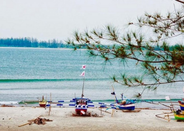 Rayakan Tahun Baru, Piknik Seru di Pantai, Ini 5 Objek Wisata Pantai Bisa Ditempuh 30 Menit dari Kota Bengkulu