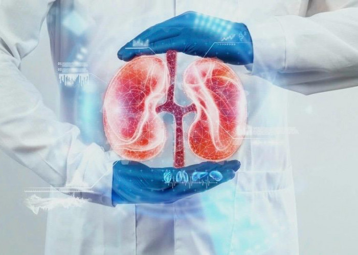 Kenali Gejala Awal Kanker Ginjal pada Usia Muda, Jangan Abaikan Ini