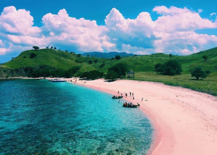 Mengintip Surga Pulau Komodo, Pantai Pink Lombok Wisata Indonesia yang Mendunia