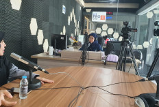 AMSI Dorong Karya Jurnalistik Diakui Secara Eksplisit dalam Revisi UU Hak Cipta
