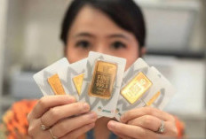 Naik Rp 50.000, Harga Emas Antam Meroket Hingga Rp2.629.000