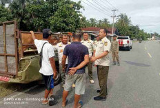 Terbukti Pasif, Kades dan Camat se-Kabupaten Kaur Disinyalir Tak Dukung Penegakan Perda Hewan Ternak