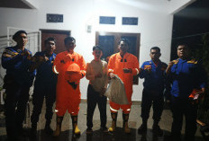 Damkarmat Kabupaten Kaur OTT Tawon Vespa di Kelurahan Simpang 3