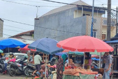 Pemkot Bengkulu Gratiskan 400 Lapak PKL di Pasar Panorama