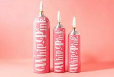 Viral, Apa Itu Whip Pink? Dua Selebgram Sempoyongan Usai Menghirupnya