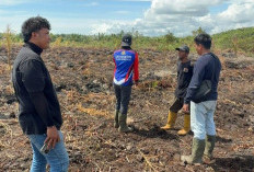 Niat Basmi Sarang Tawon, Lahan Kebun 3 Hektare justru Terbakar, Berurusan Dengan Polisi