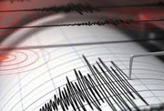 Gempa Bumi Bermagnitudo 3.1 Guncang Kabupaten Kaur, Bengkulu