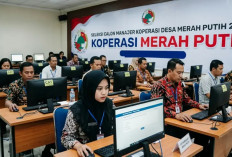 Dugaan Kecurangan CAT pada Rekrutmen Manajer Kopdes Merah Putih, Ini Respon Kemenkop