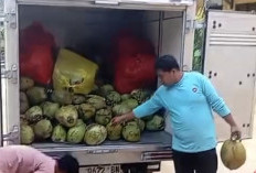 Viral, Menu MBG Kelapa Muda dan 1 Butir Telur Mentah