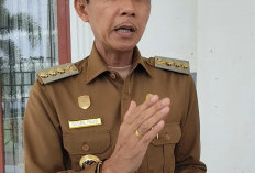 Bupati Kaur Terapkan WFH setiap Jumat, Kecuali Pejabat dan ASN Berikut Ini