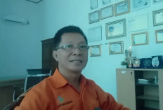 BPS Kabupaten Kaur Laksanakan Sensus Ekonomi 2026