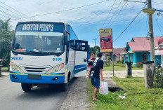 Ada Perubahan Rute, Layanan Bus Damri Kota Bengkulu - Kabupaten Kaur Kembali Operasi