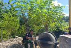 Melihat Progres Pembangunan Jembatan Gantung Perintis Garuda oleh Koramil 408-03/Kaur Tengah 