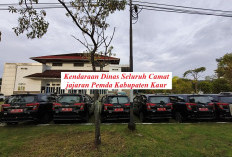 Pelunasan Pajak Kendaraan Dinas Tahun 2026, BPKAD Tunggu Invoice Samsat