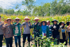 Kapolres Kaur Apresiasi Peran Petani Jagung Dukung Swasembada Pangan