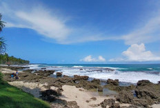 Kabupaten Kaur, Surga Pantai Eksotis di Pesisir Barat Sumatera Bagian Selatan