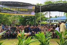 Program Satu Juta Bibit Sawit Berlanjut, Pertengahan Februari Kembali Disalurkan