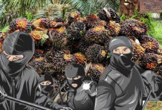 Modus Ninja Sawit Terbongkar, Polsek Amankan 2 Pelaku dan 1 Ton Barang Bukti