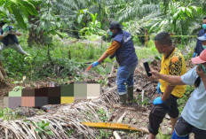Polres Kaur Olah TKP Lokasi Penemuan Mayat, Keluarga Tolak Visum dan Autopsi, Alasannya Ini!
