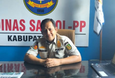 Mayoritas Petani, 90 Persen Masyarakat Kaur Dukung Perda Ternak