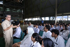 Menaker: Program Magang Buka Peluang Kerja bagi Lulusan Baru