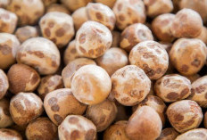 Harga Buah Pinang Kering di Kabupaten Kaur Bengkulu Melonjak Signifikan Menjadi Rp12 Ribu per Kilogram