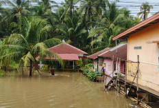 Peringatan Dini BMKG Bengkulu 8 April 2026, Hujan Lebat Disertai Petir Ancam Sejumlah Wilayah 